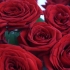 Herbata hybrydowa czerwona róża naomi (red naomi): zdjęcie i opis, opinie