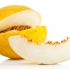 Rolnik kołchozowy melon - uprawa w polu