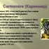 Carménère to klasyczna techniczna odmiana winogron