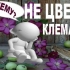 Dlaczego powojniki nie kwitną