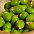 Przepis na dżem feijoa