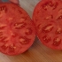 Pomidor czarny krym